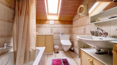 The bathroom before the renovation