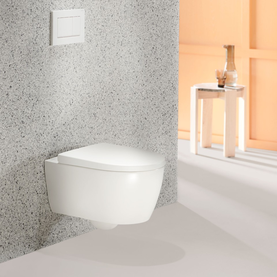 Toilets and toilet seats Geberit