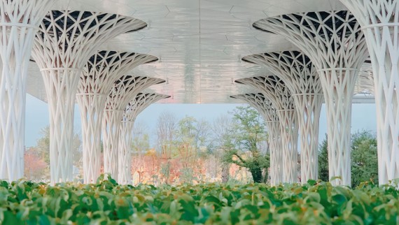 An almost 300 m² garden was created along the spectacular building (© Alek Małchowski) An almost 300 m² garden was created along the spectacular building (© Alek Małchowski)