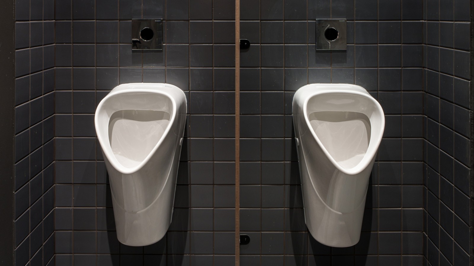 Classic elegance: the Selnova line of urinal ceramics (© Jānis Salmanis) Classic elegance: the Selnova line of urinal ceramics (© Jānis Salmanis)