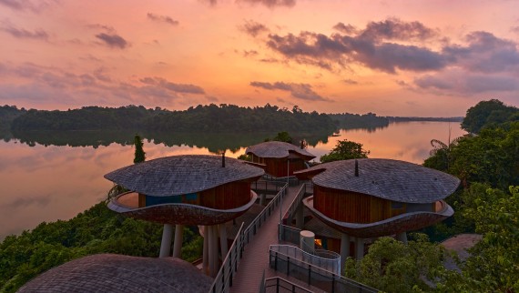 Maisons-capsules au Mandai Rainforest Resort (© Banyan Tree) Maisons-capsules au Mandai Rainforest Resort (© Banyan Tree)