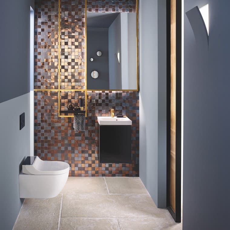 WC lavant Geberit AquaClean Tum Comfort dans une salle de bains Geberit Acanto WC lavant Geberit AquaClean Tum Comfort dans une salle de bains Geberit Acanto
