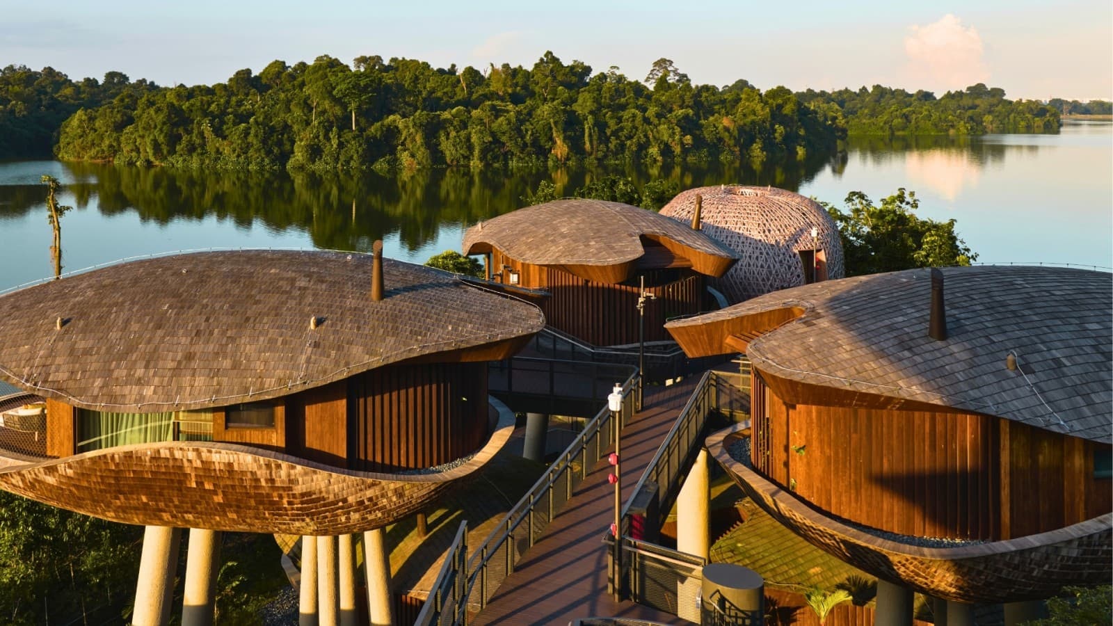 Les cabanes arboricoles s’inspirent des capsules de graines et permettent à la forêt vierge de pousser entre elles (© Banyan Tree) Les cabanes arboricoles s’inspirent des capsules de graines et permettent à la forêt vierge de pousser entre elles (© Banyan Tree)